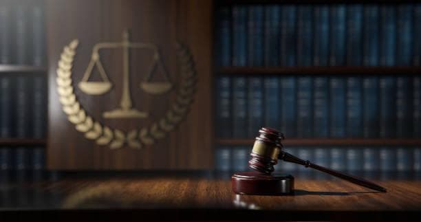 Droit patrimonial pénal