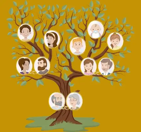 Successions complexes